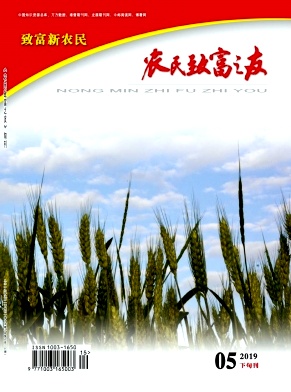 农民致富之友封面 农民致富之友封面